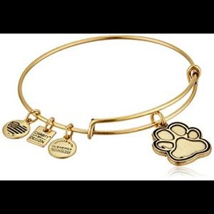 Alex and Ani Dog Paw Bracelet